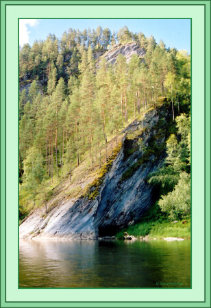 Сосны на камнях