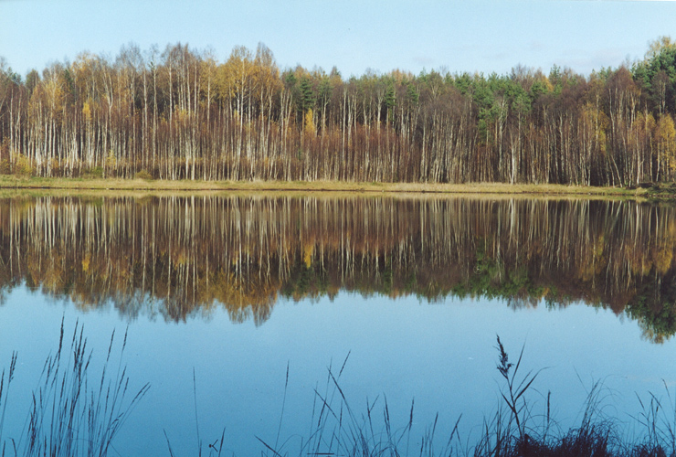 Прозрачность