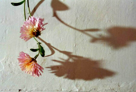 Без названия