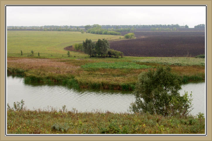 Край степной