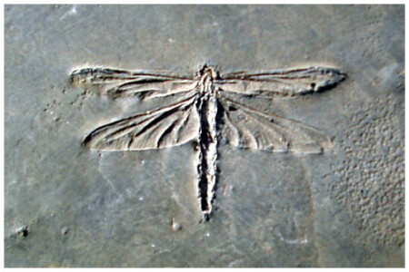 След на века?...