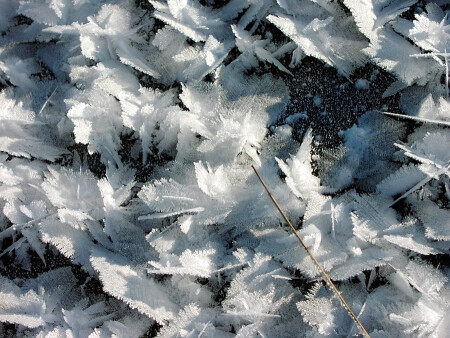 Первый день зимы. Бабочки...