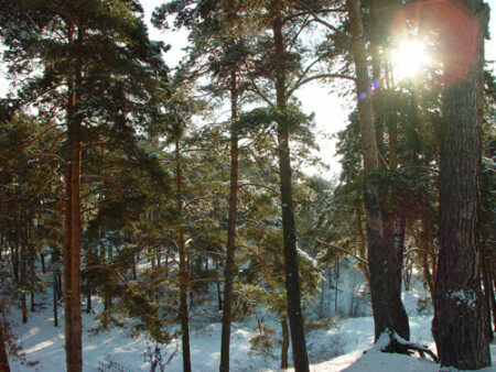 первый снег