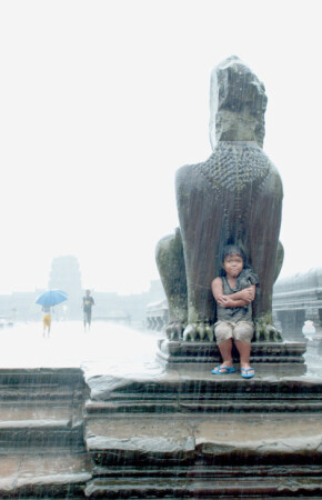 Тропический ливень