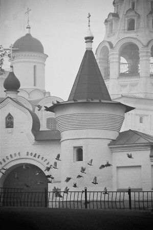 Совмещение форм - фрагмент с голубями