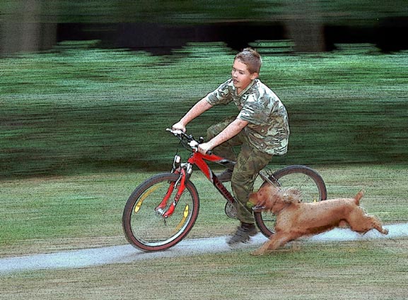 Гонщик поневоле...