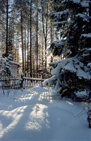 Первый солнечный день. -20С.