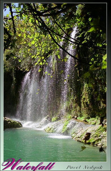 DeepForest Waterfall