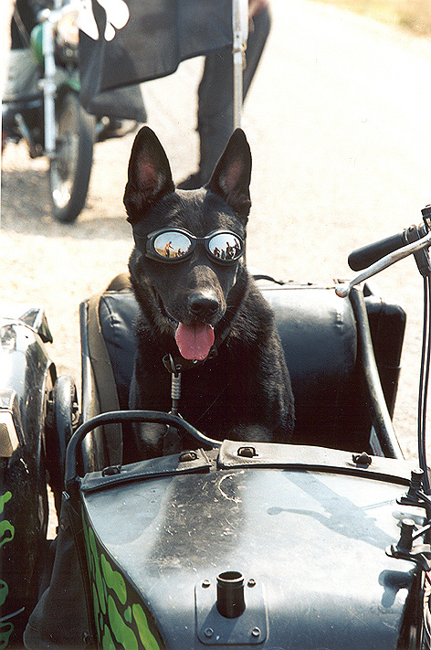 Bike