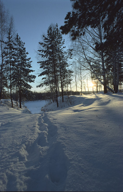 Морозно