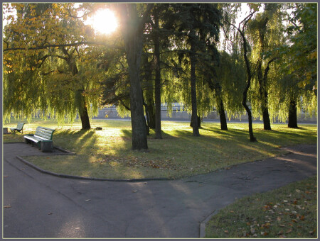 уголок тихой радости в страдающем сердце