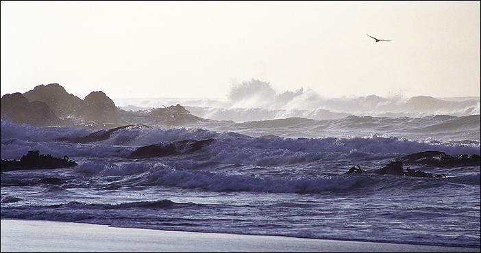 Неспокойно синее море