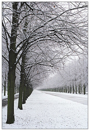 Первый снег в Ганновере