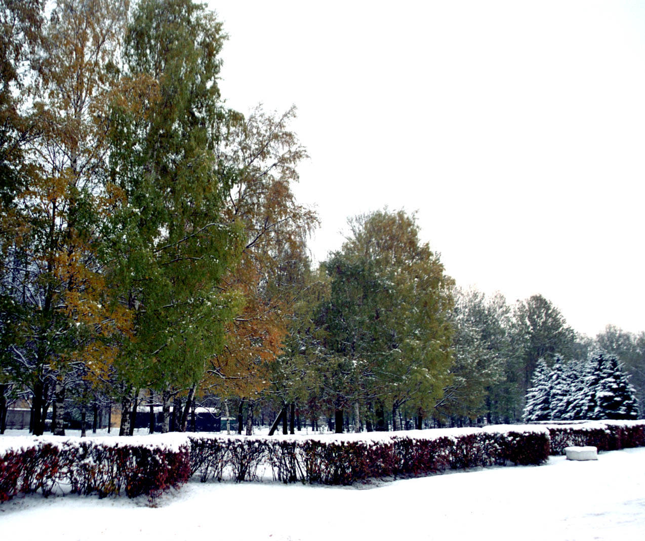Первый снег в городе.