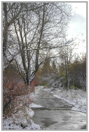 Заледенело