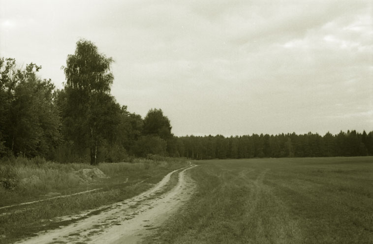 Дорога!