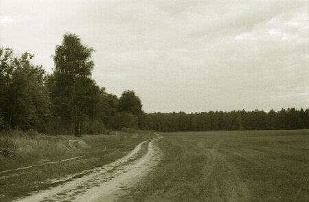 Дорога!