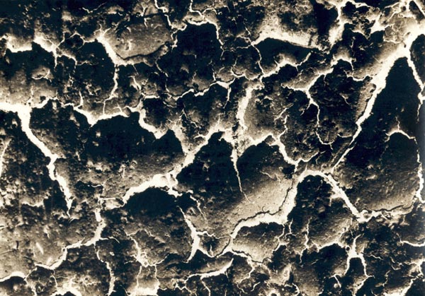 Линии-2