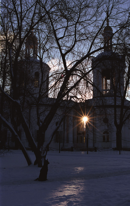Церковь, собака и утреннее солнце