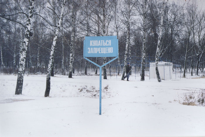 Загадки зимнего леса
