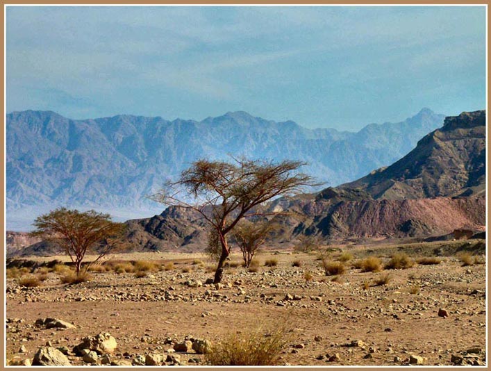 Pustynia Negev