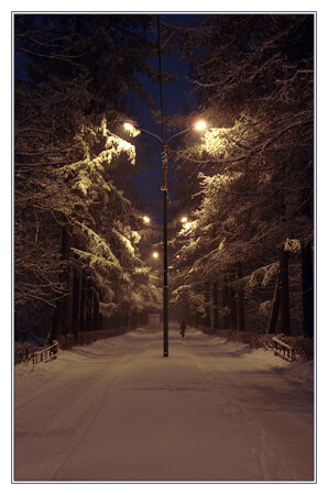 Первый снег. Ночь.