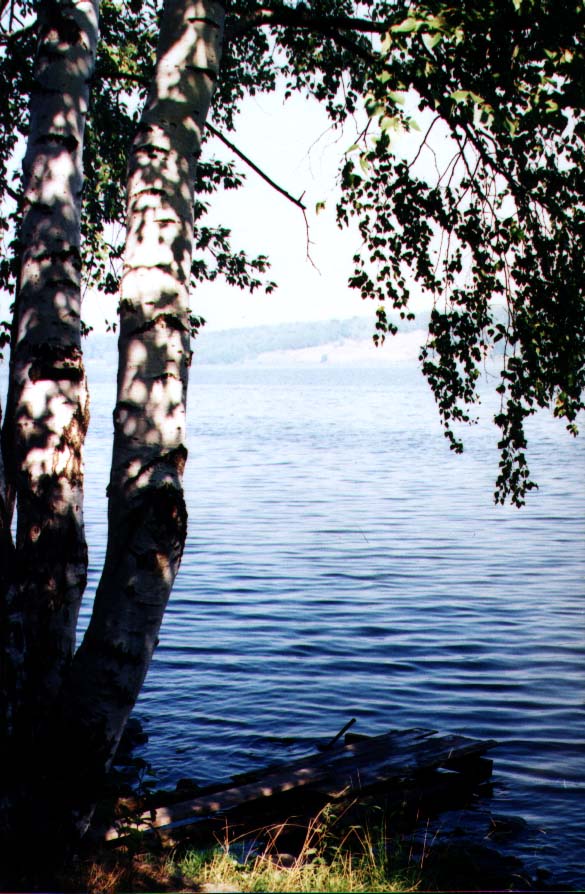 у реки
