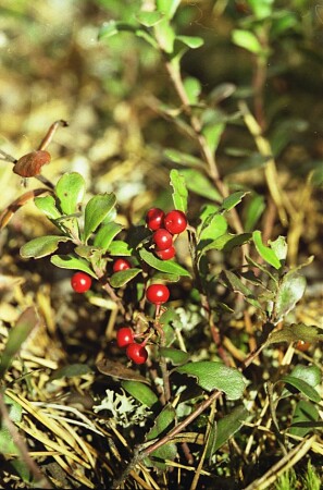 Смотрите под ноги!!!!!!!