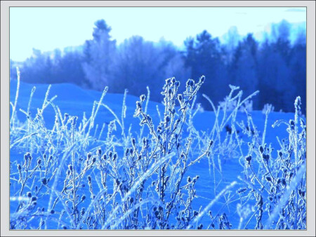 морозное утро