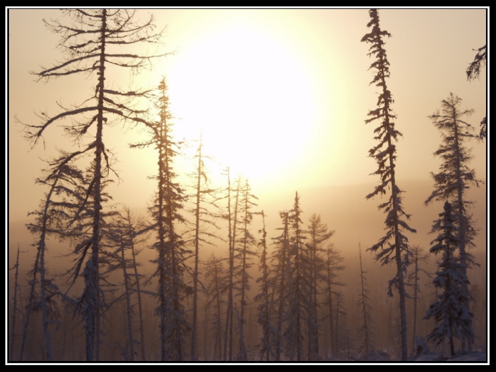 Морозное утро