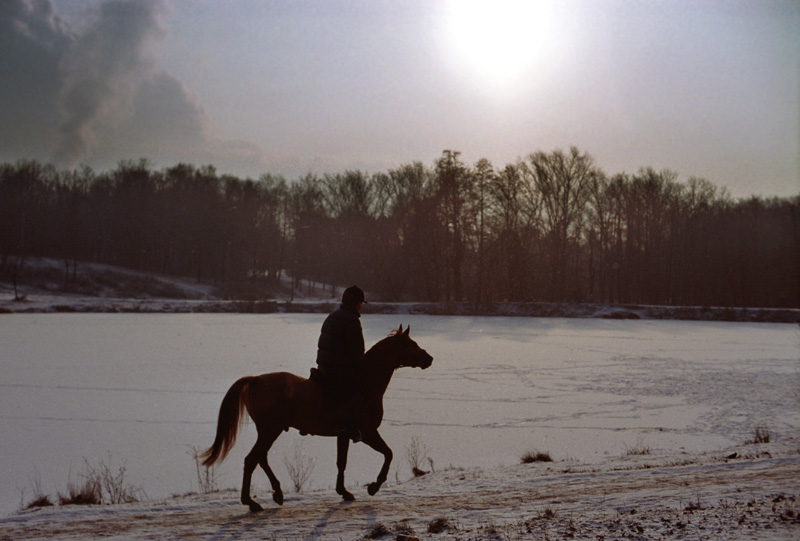 Зимний всадник