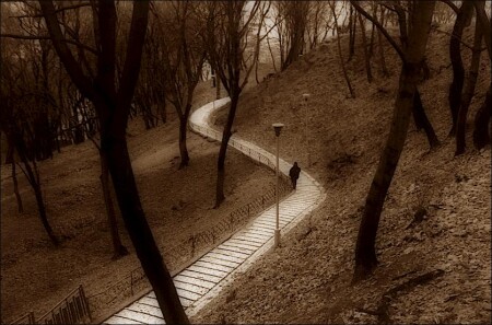 Владимирская горка. Киев