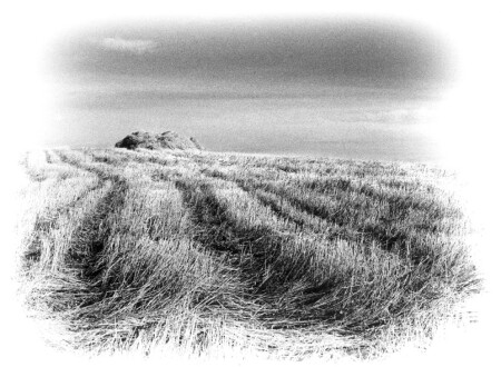Viatka Landscapes III (R199-08)