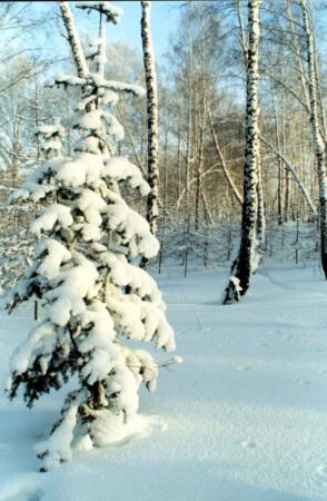 Самый короткий день