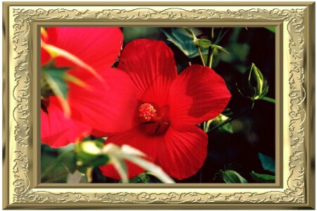 кусочек лета