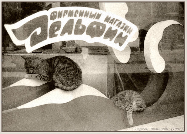 Шоковая терапия