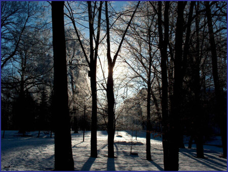 Зимний парк