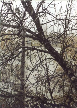 вид из окна