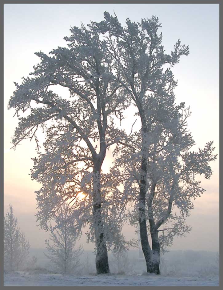 Год уходит... (30.12.2002г.)