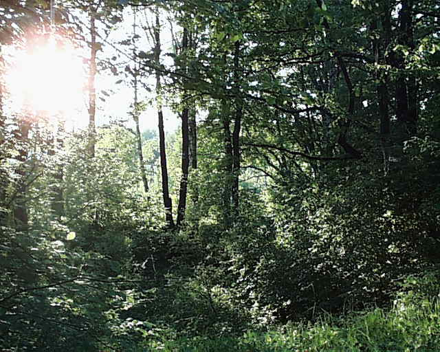 Овраг