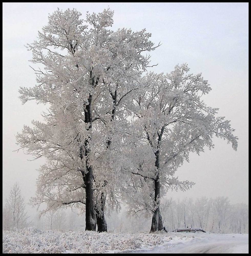 Зачарованно, заколдованно...