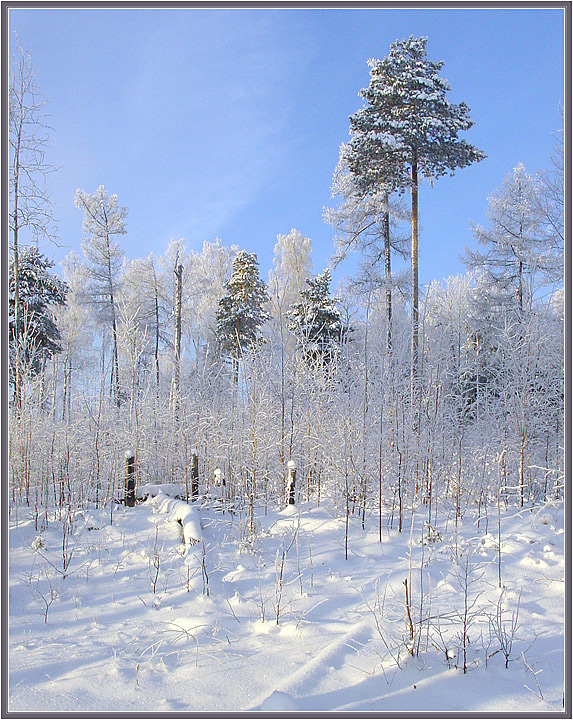 Солнечно. И дышется легко.