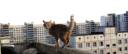 Ну почему отстали-то?