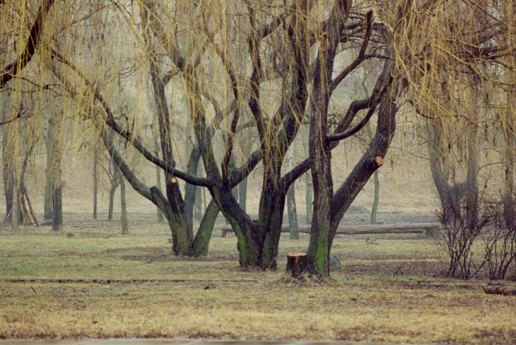 осень