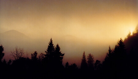 Пробуждение