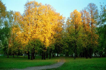 ОСЕННИЙ ПАРК