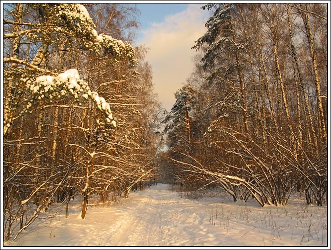 "Прогулка"