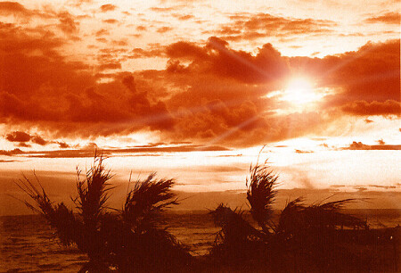 Огненная фантазия