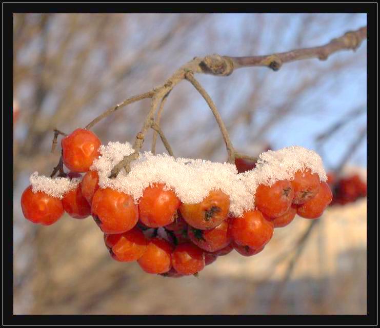 -27 t(C) (репост)