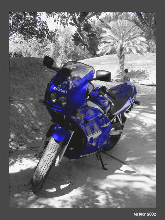 SUZUKI из солнечного Израиля для bonfilfoto :) и Cheh :)